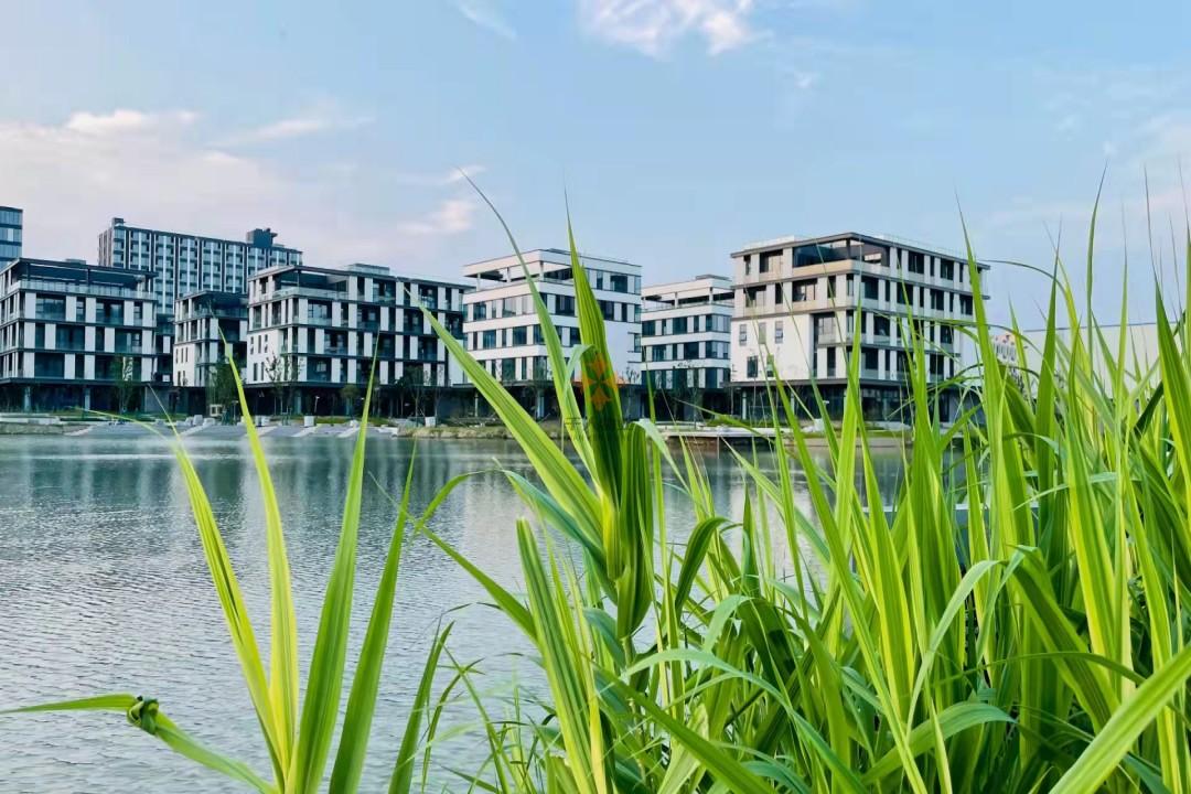 青浦 移動(dòng)智地 20平米 簡裝